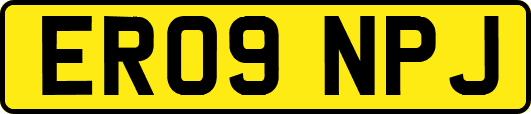 ER09NPJ