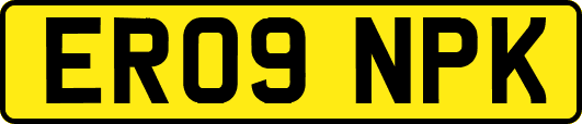 ER09NPK