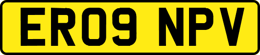 ER09NPV