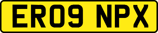 ER09NPX