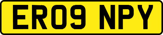 ER09NPY