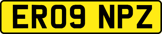ER09NPZ