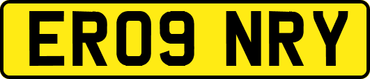 ER09NRY