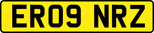 ER09NRZ