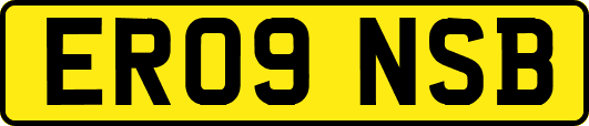 ER09NSB