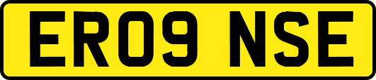 ER09NSE