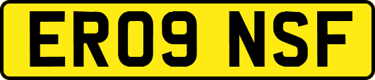 ER09NSF