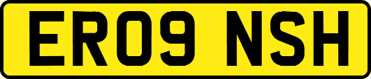 ER09NSH
