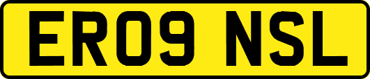 ER09NSL