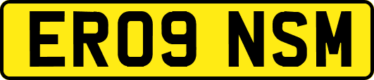 ER09NSM