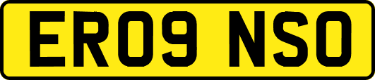ER09NSO