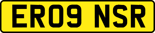ER09NSR