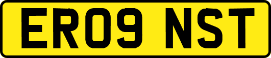 ER09NST