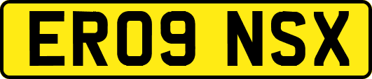 ER09NSX