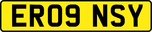 ER09NSY