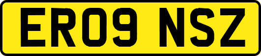 ER09NSZ