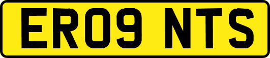 ER09NTS