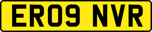 ER09NVR