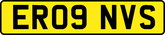 ER09NVS