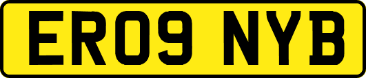 ER09NYB