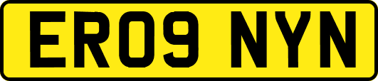ER09NYN