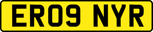 ER09NYR