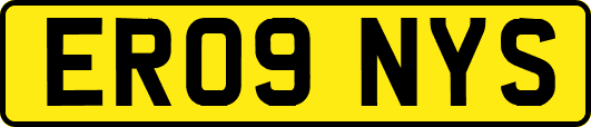 ER09NYS