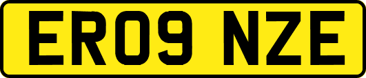 ER09NZE