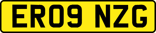 ER09NZG