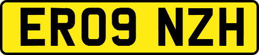 ER09NZH