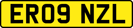 ER09NZL