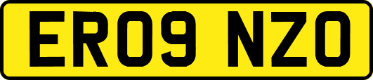 ER09NZO