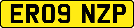 ER09NZP