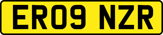 ER09NZR
