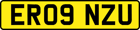 ER09NZU