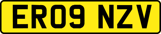 ER09NZV