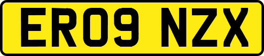 ER09NZX