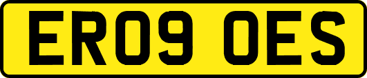 ER09OES