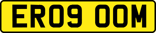 ER09OOM
