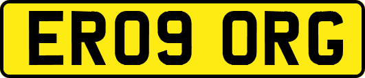ER09ORG