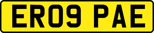 ER09PAE