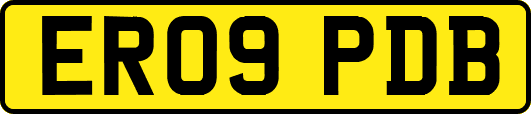 ER09PDB