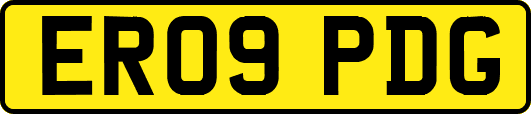 ER09PDG