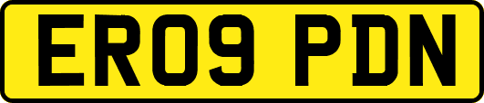 ER09PDN