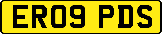 ER09PDS