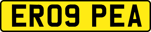 ER09PEA
