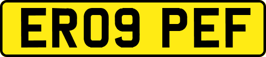 ER09PEF