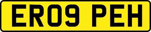 ER09PEH