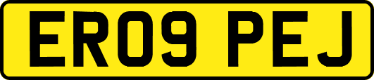 ER09PEJ