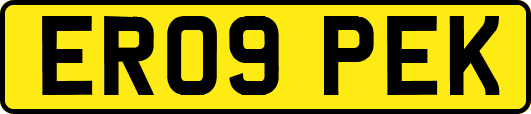 ER09PEK